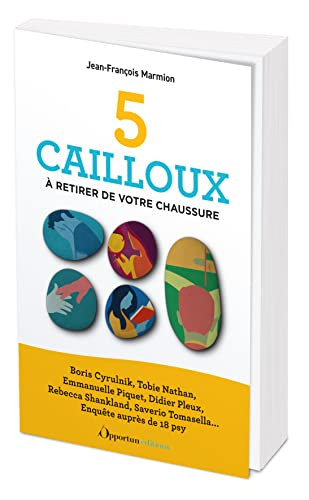 5 cailloux à retirer de votre chaussure : Boris Cyrulnik, Tobie Nathan, Emmanuelle Piquet, Didier Pl