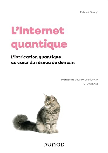 L'Internet quantique : l'intrication quantique au coeur du réseau de demain