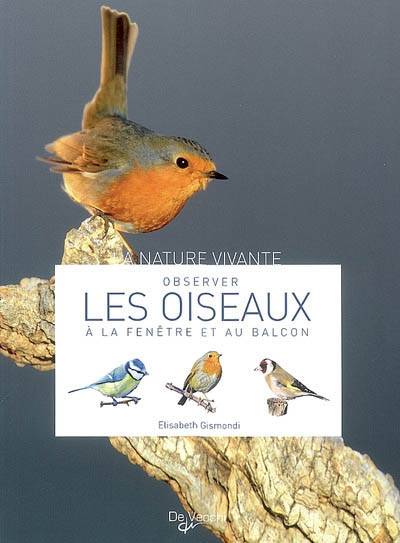 Observer les oiseaux à la fenêtre et au balcon