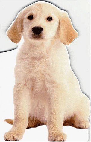 Pop-corn, le chiot