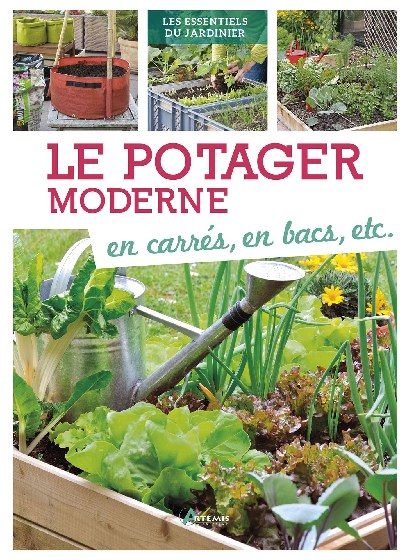 Le potager moderne : en carrés, en bacs, etc.