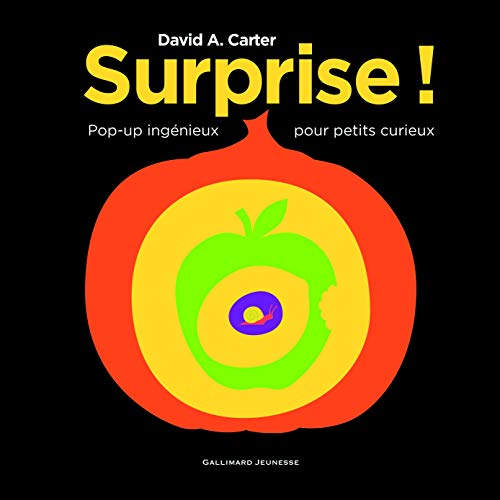 Surprise ! : pop-up ingénieux pour petits curieux