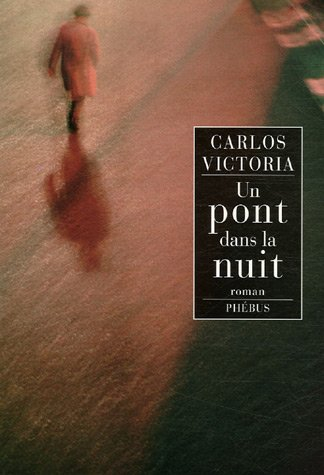 Un pont dans la nuit