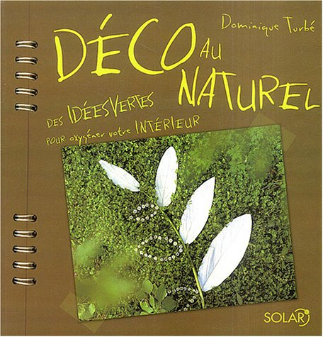 Déco au naturel : des idées vertes pour oxygéner votre intérieur
