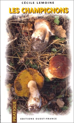 Les champignons
