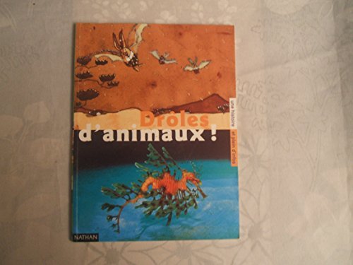drole d'animaux