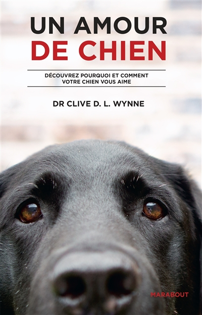 Un amour de chien : découvrez pourquoi et comment votre chien vous aime