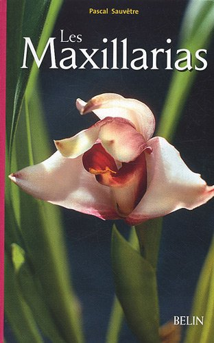 Les maxillarias