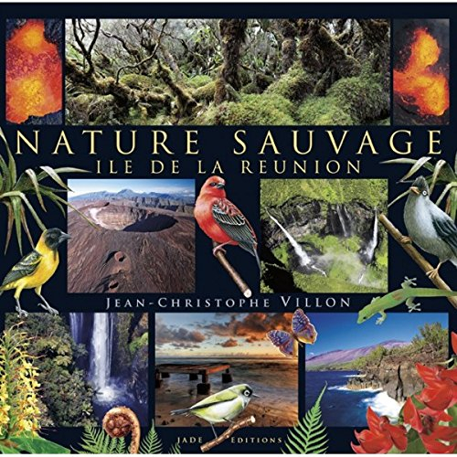 nature sauvage, île de la réunion.