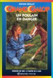 un poulain en danger. : 2ème édition