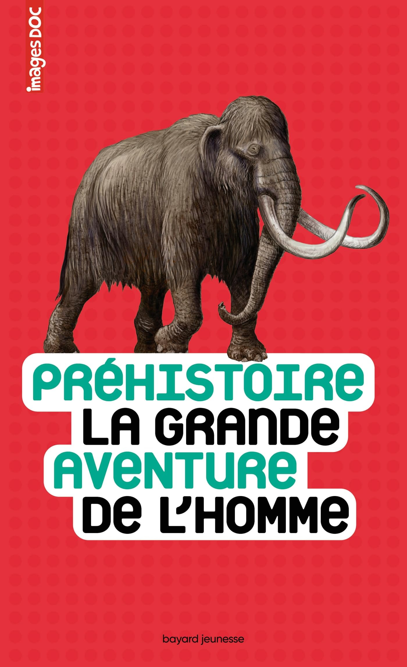 Préhistoire : la grande aventure de l'homme