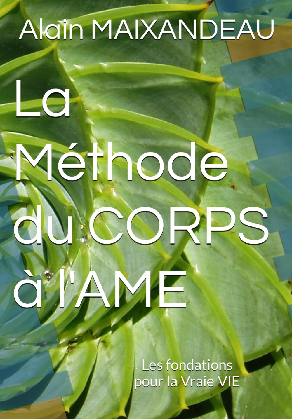 La Méthode du CORPS à l'AME: Les fondations pour la Vraie VIE