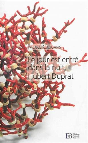 le jour est entré dans la nuit