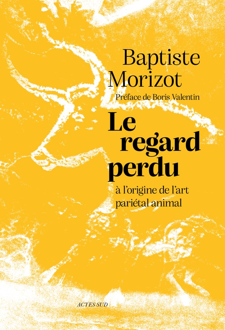 Le regard perdu : à l'origine de l'art pariétal animal