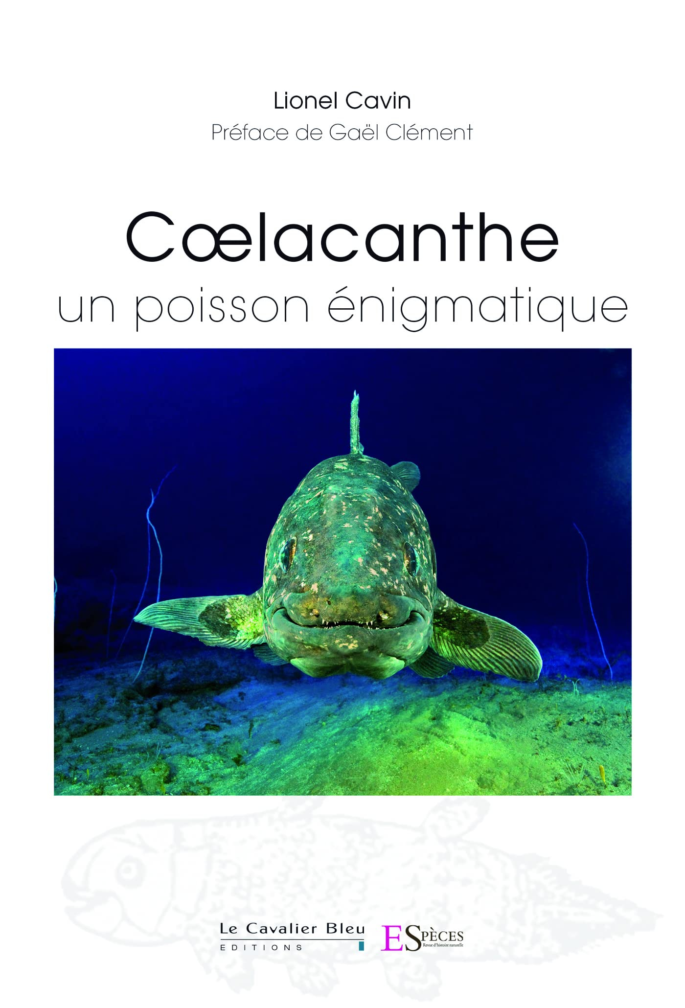 Coelacanthe : un poisson énigmatique