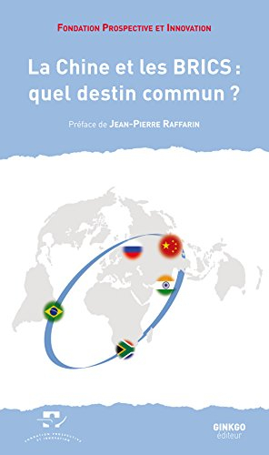 la chine et les brics