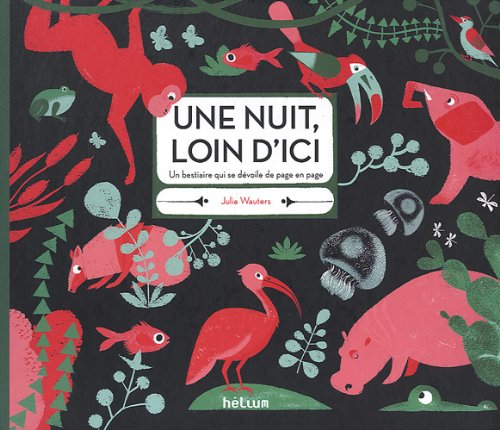 Une nuit, loin d'ici : un bestiaire qui se dévoile de page en page