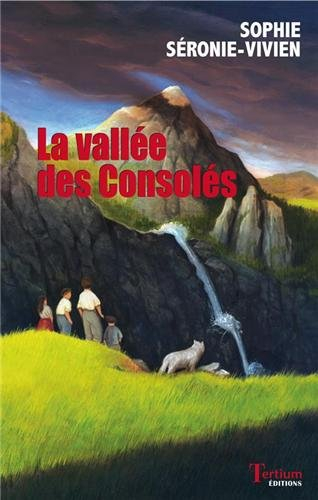 La vallée des consolés