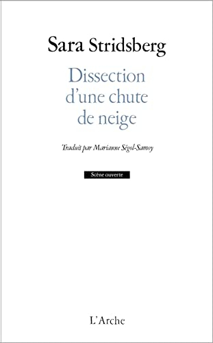 Dissection d'une chute de neige