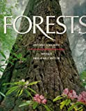 Forêts (version anglaise)