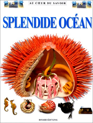 Splendide océan