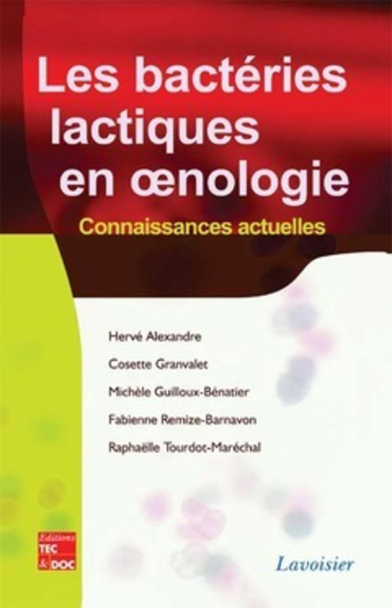 Les bactéries lactiques en oenologie