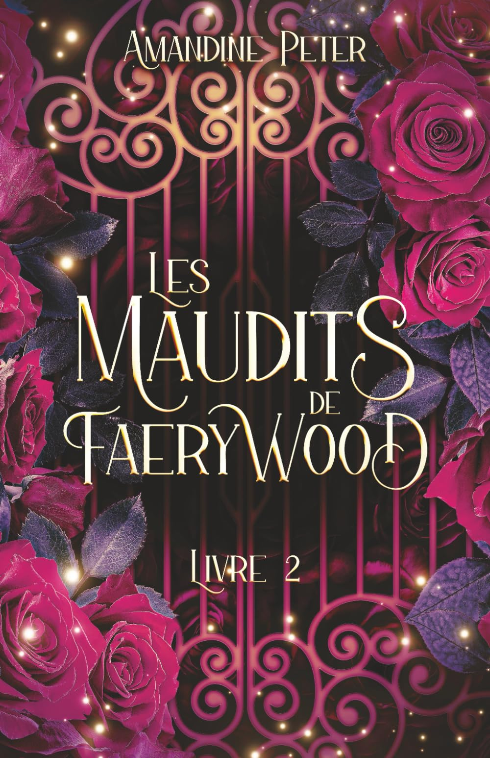 Les Maudits de Faerywood, Livre 2