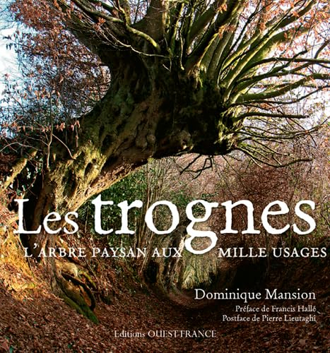 Les trognes : l'arbre paysan aux mille usages