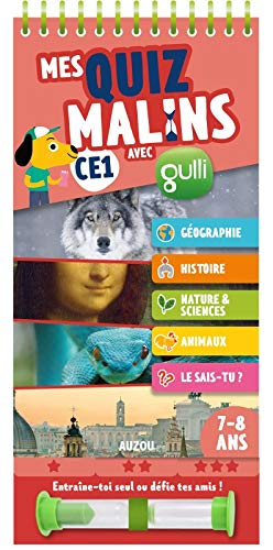 Mes quiz malins avec Gulli CE1