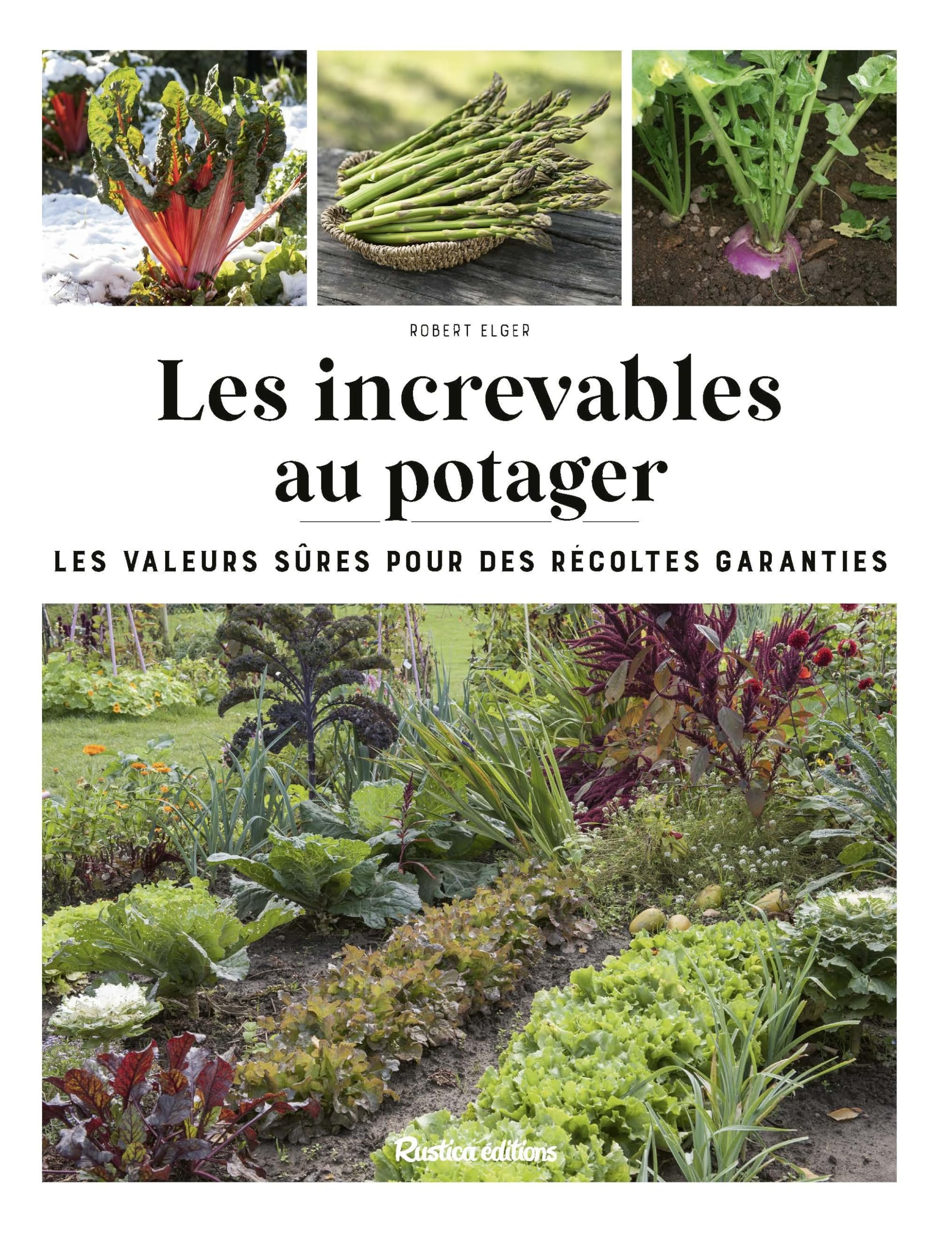 Les increvables au potager : les valeurs sûres pour des récoltes garanties