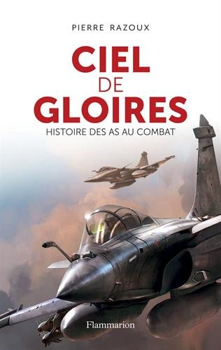 Ciel de gloires : histoire des as au combat