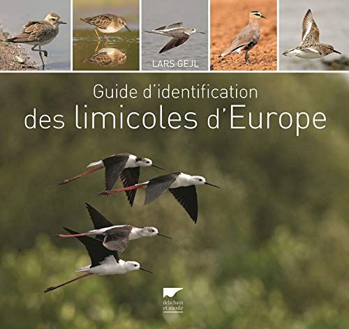 Limicoles d'Europe