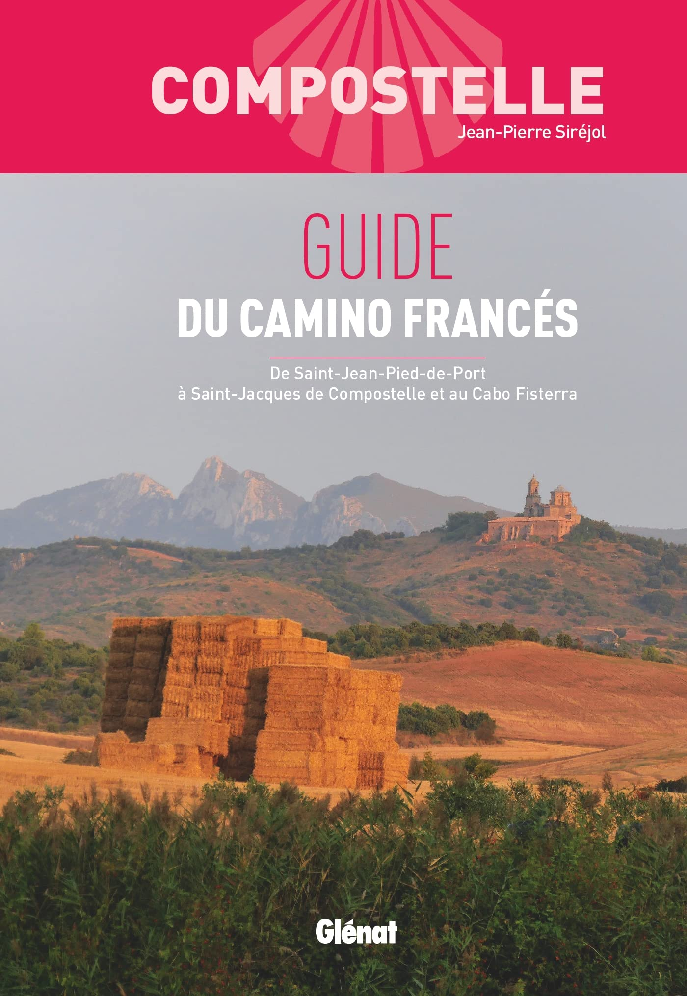 Compostelle : guide du camino francés : de Saint-Jean-Pied-de-Port à Saint-Jacques de Compostelle et