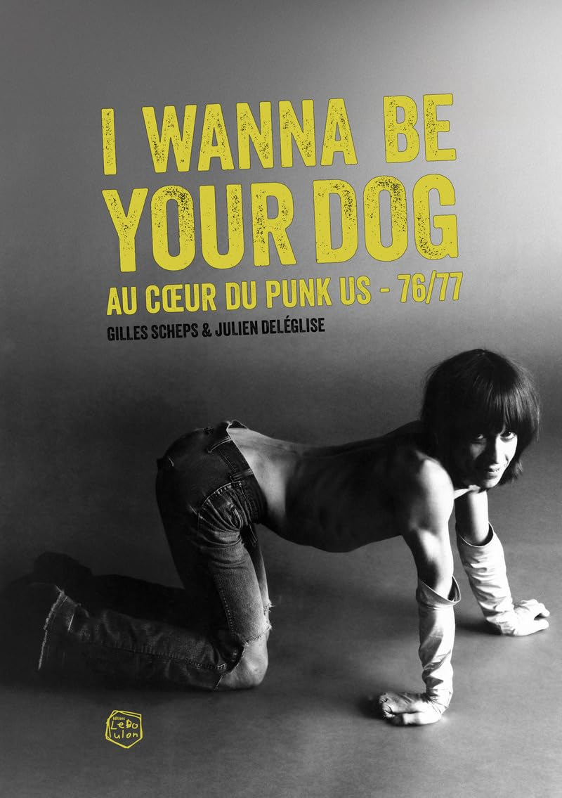 I wanna be your dog : au coeur du punk US : 76-77