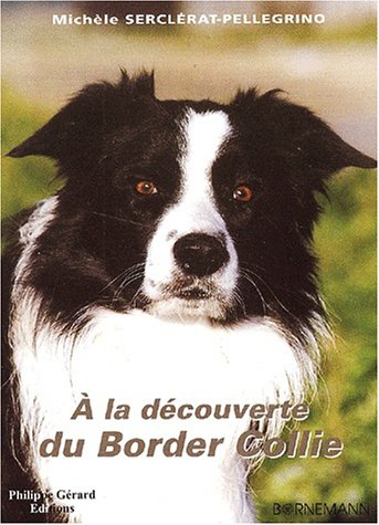 A la découverte du border collie