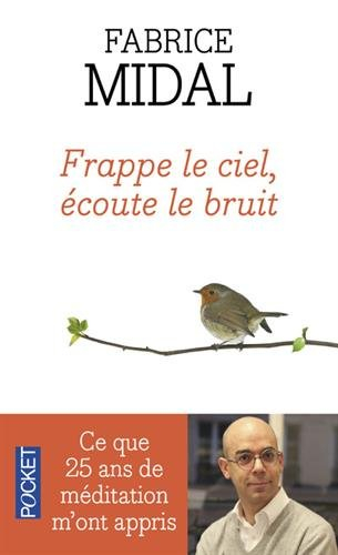 Frappe le ciel, écoute le bruit : ce que vingt-cinq ans de méditation m'ont appris