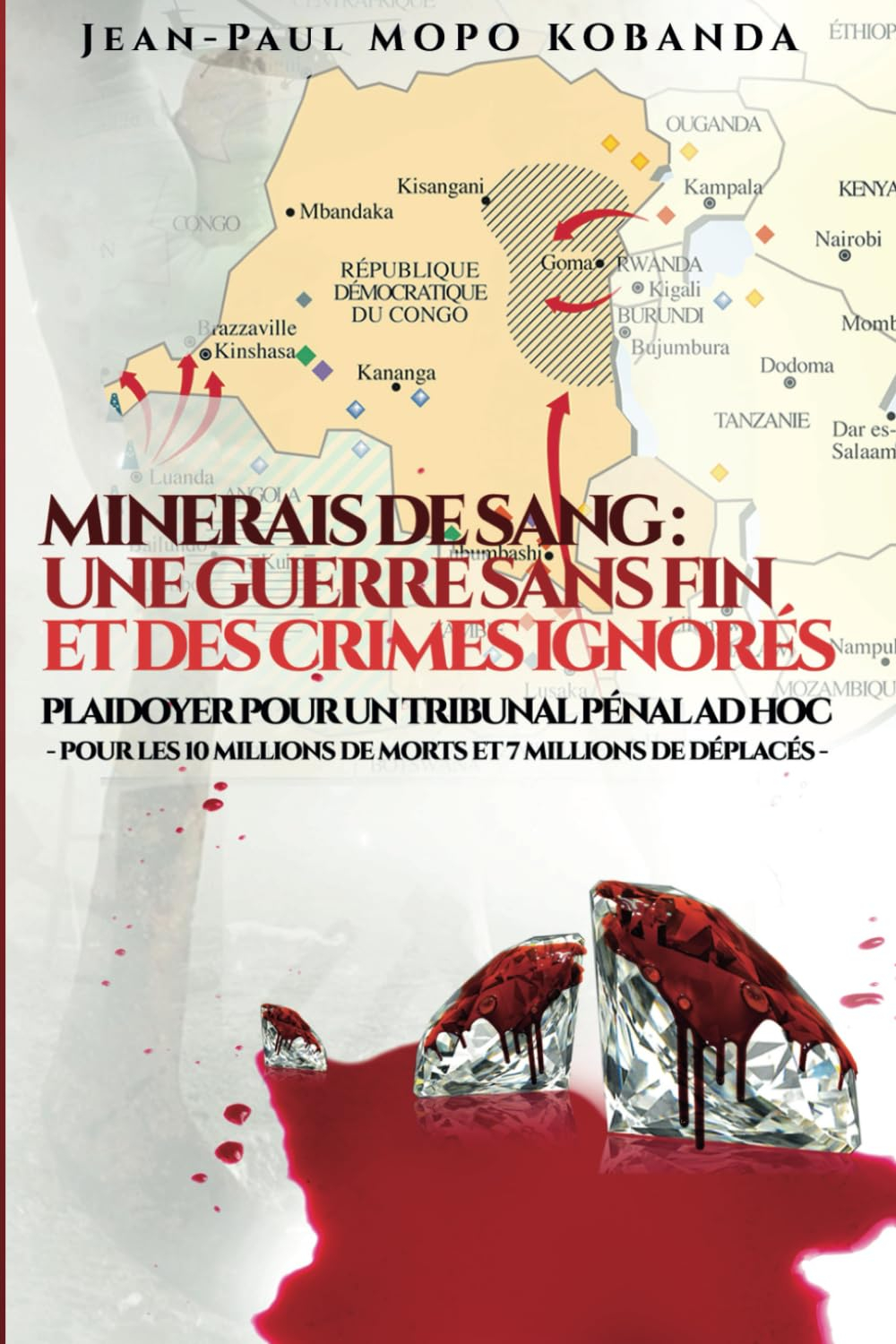 Minerais de sang : une guerre sans fin et des crimes ignorés: Plaidoyer pour un tribunal pénal ad ho