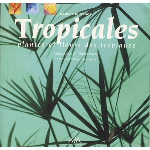 Tropicales : plantes et fleurs des tropiques