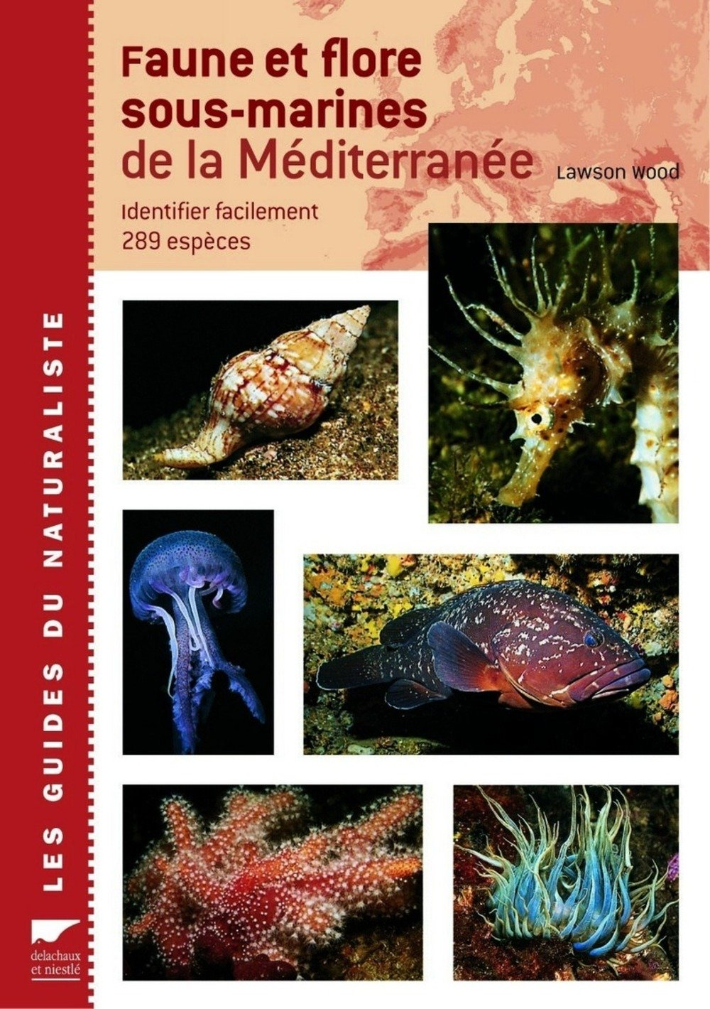 Faune et flore sous-marines de la Méditerranée : identifier facilement 289 espèces