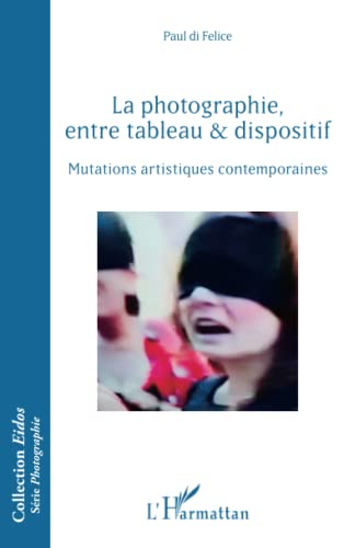 La photographie entre tableau & dispositif : mutations artistiques contemporaines