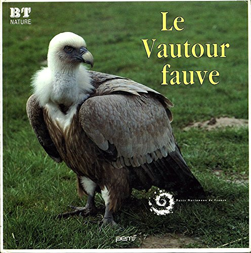 Vautour fauve en Cévennes