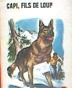 capi, fils de loup - illustrations de henri dimpre