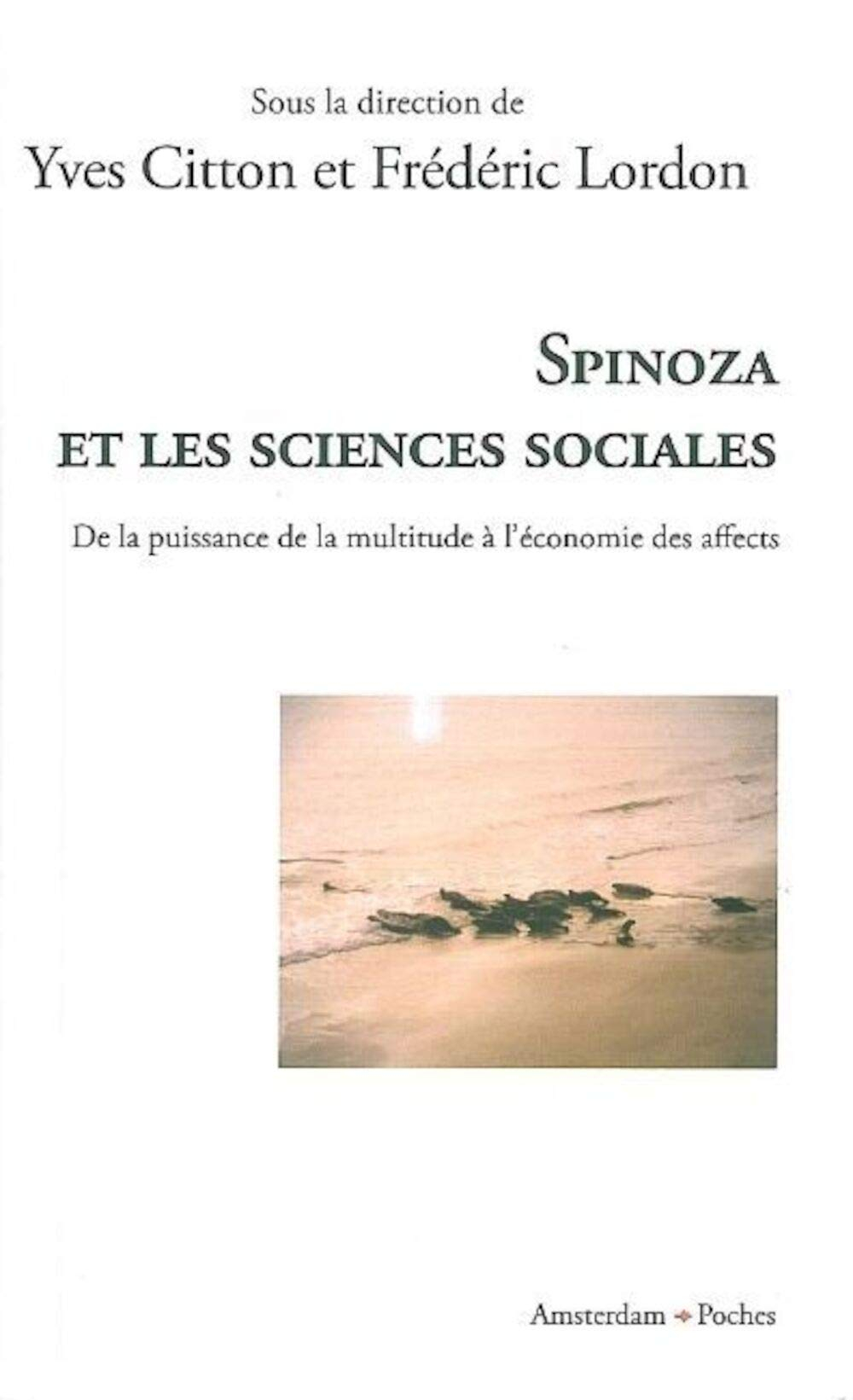 Spinoza et les sciences sociales : de la puissance de la multitude à l'économie des affects