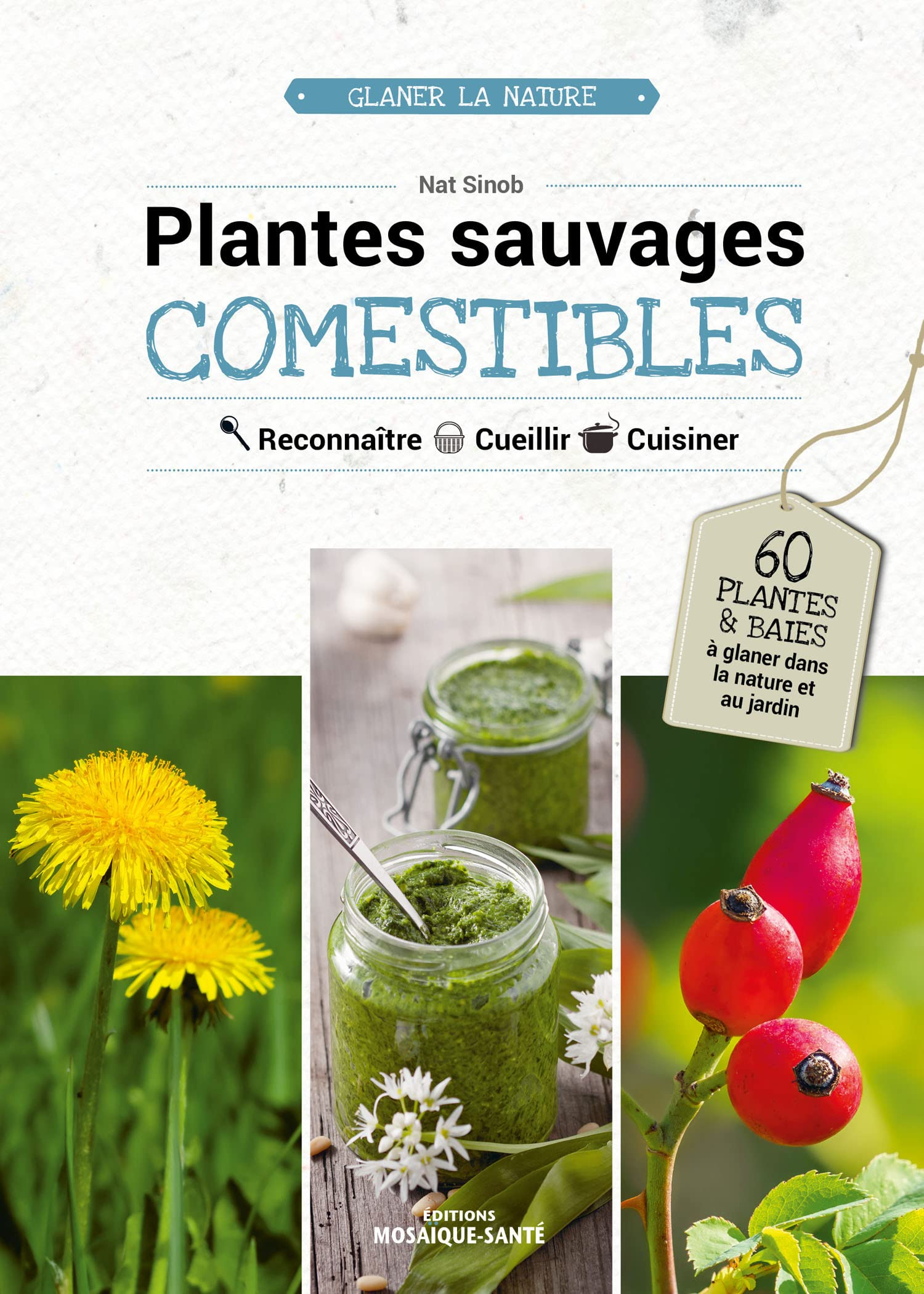 Plantes sauvages comestibles : reconnaître, cueillir, cuisiner
