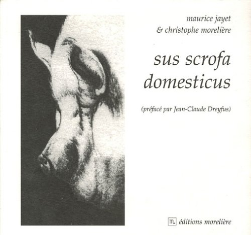 Sus scrofa domesticus