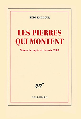 Les pierres qui montent : notes et croquis de l'année 2008