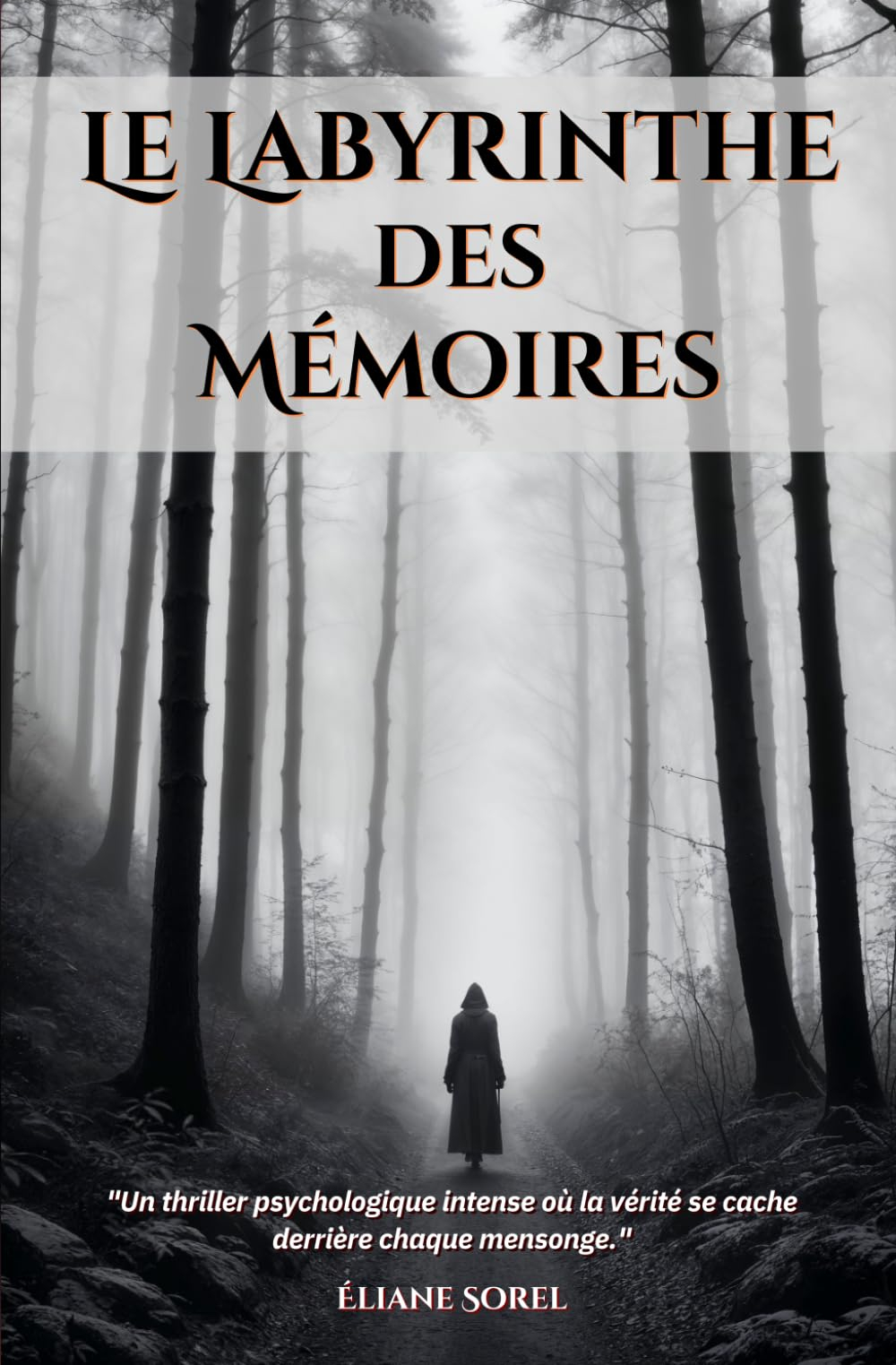 Le Labyrinthe des Mémoires Tome 2 “La mémoire est un labyrinthe où chaque chemin mène à une vérité, 