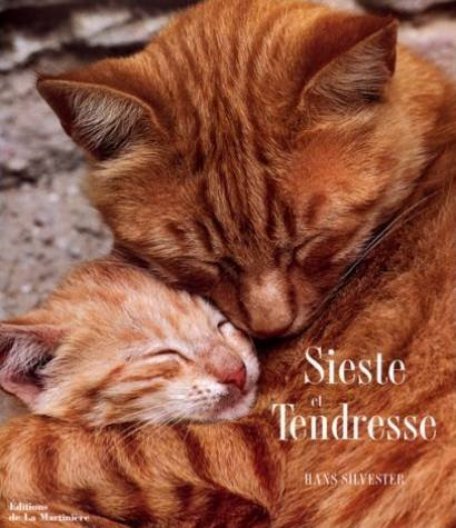 Sieste et tendresse