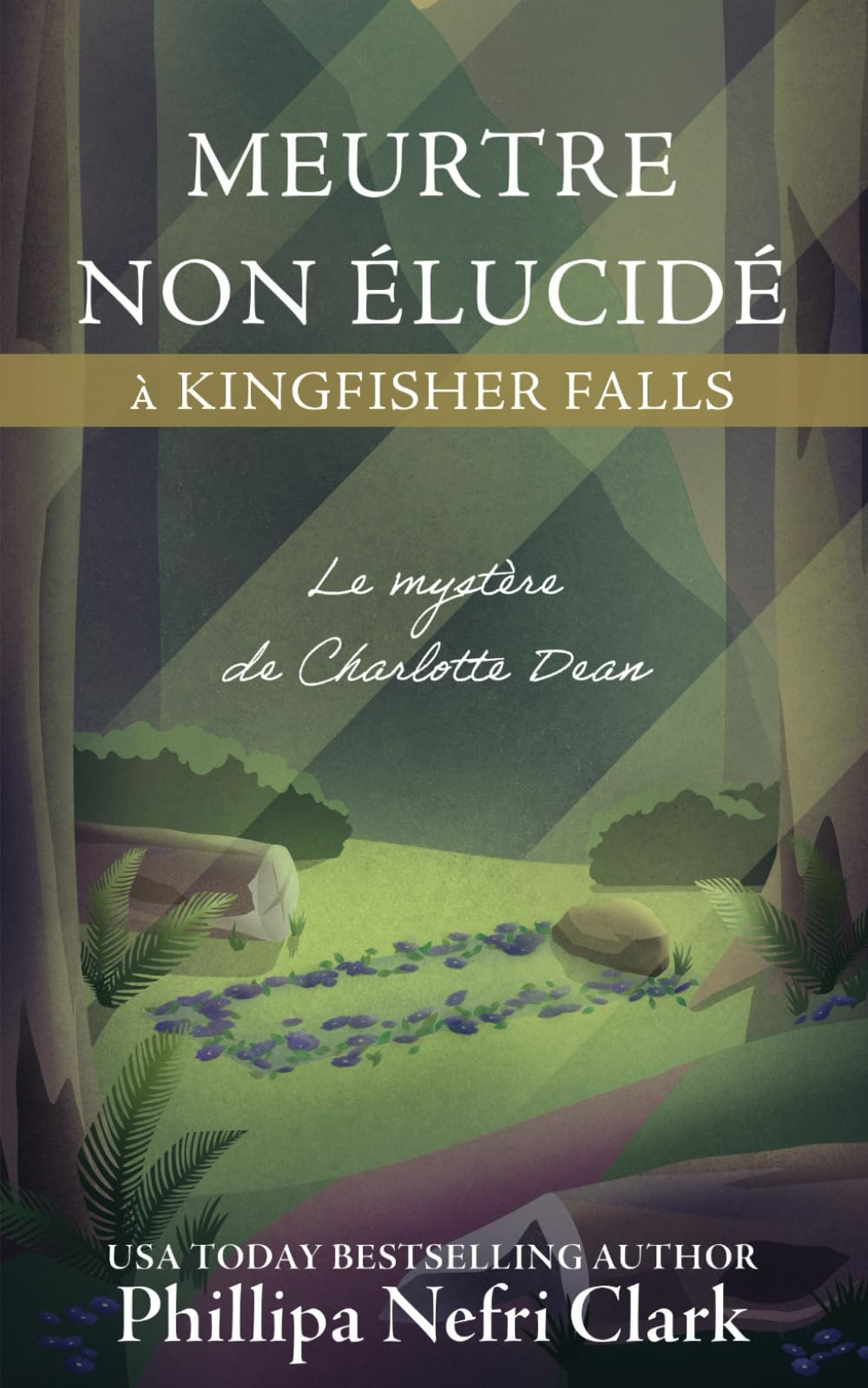 Meurtre non élucidé à Kingfisher Falls: Librairie de petite ville Cosy Mystery