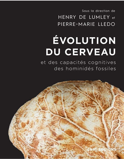 Evolution du cerveau et des capacités cognitives des hominidés fossiles : depuis Sahelanthropus tcha